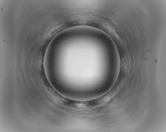 X0000089460509200706151437