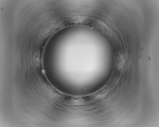 X0000089460510200706151437