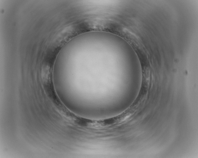 X0000089460511200706151437