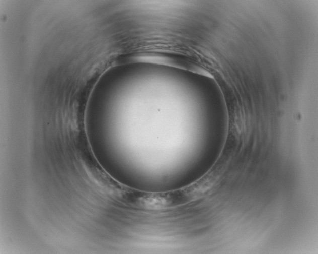 X0000089460512200706151437