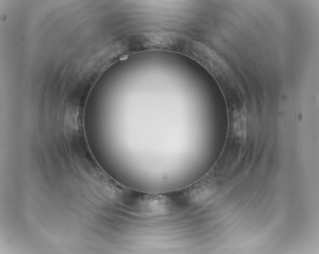 X0000089460514200706151437