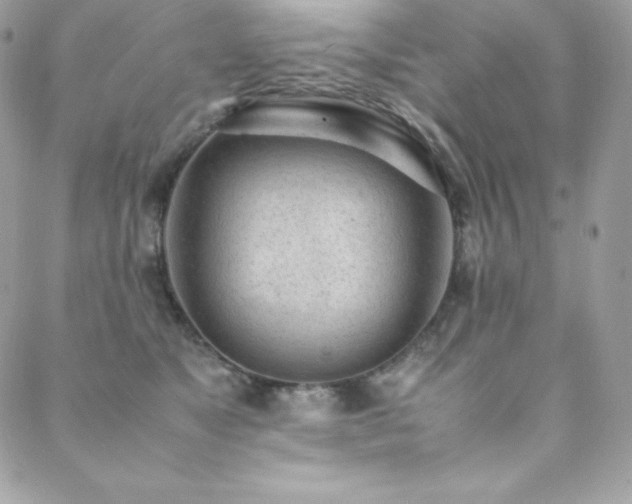 X0000089460517200706151437