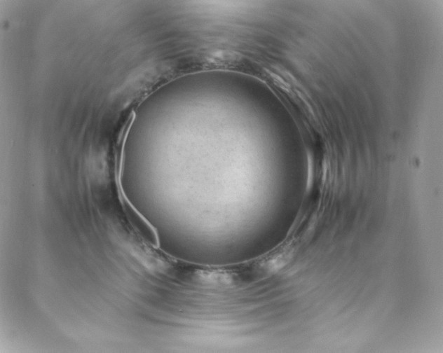 X0000089460520200706151437