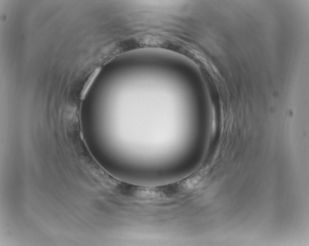 X0000089460521200706151437