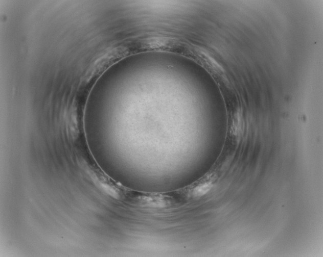X0000089460524200706151437