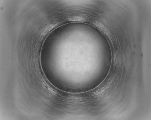 X0000089460529200706151436