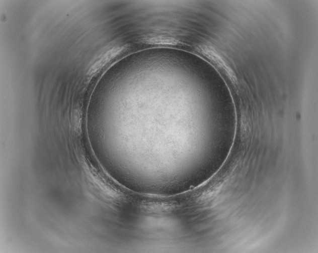 X0000089460533200706151436