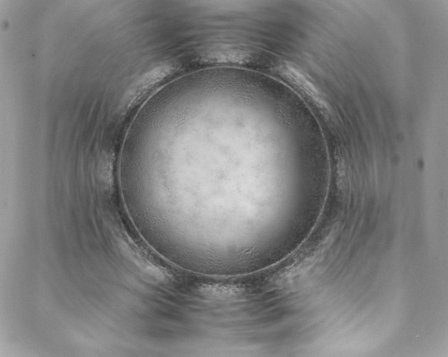 X0000089460537200706151436