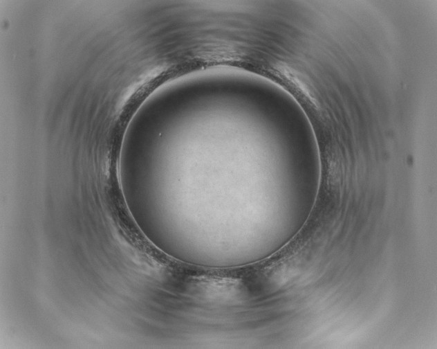 X0000089460539200706151436