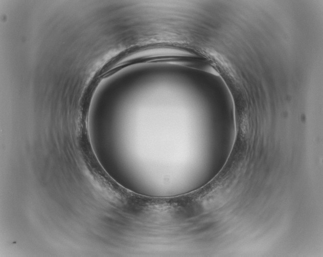 X0000089460540200706151436