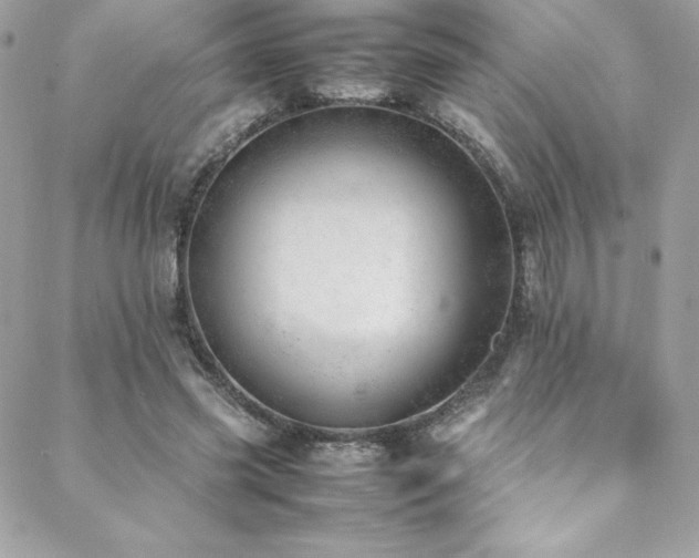 X0000089460541200706151436