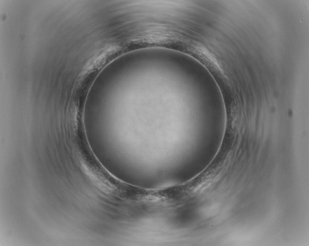 X0000089460542200706151436