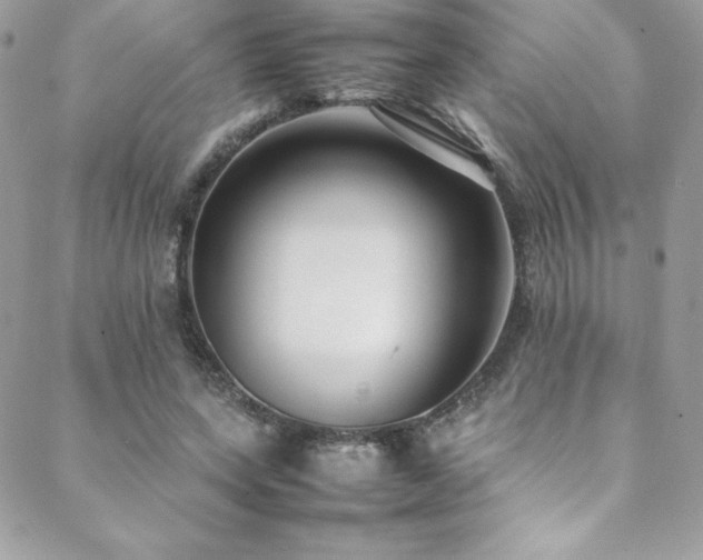 X0000089460543200706151436