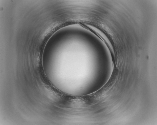 X0000089460544200706151436