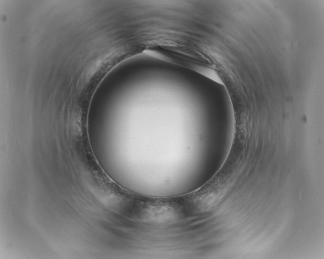 X0000089460547200706151436