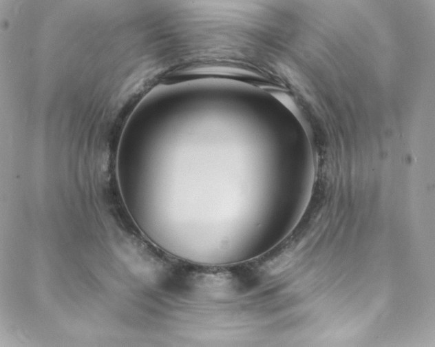 X0000089460548200706151436