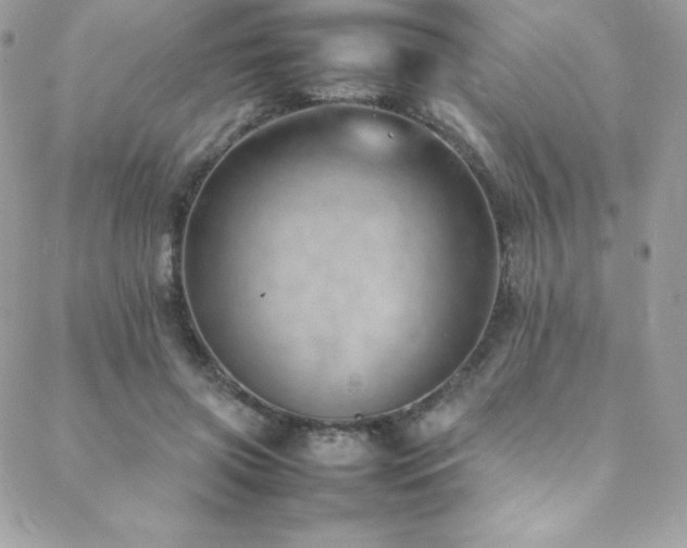 X0000089460549200706151436