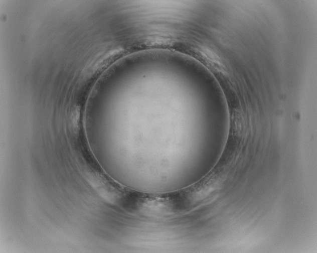X0000089460550200706151436