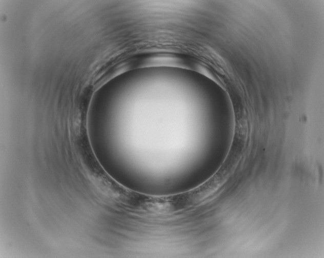 X0000089460552200706151436