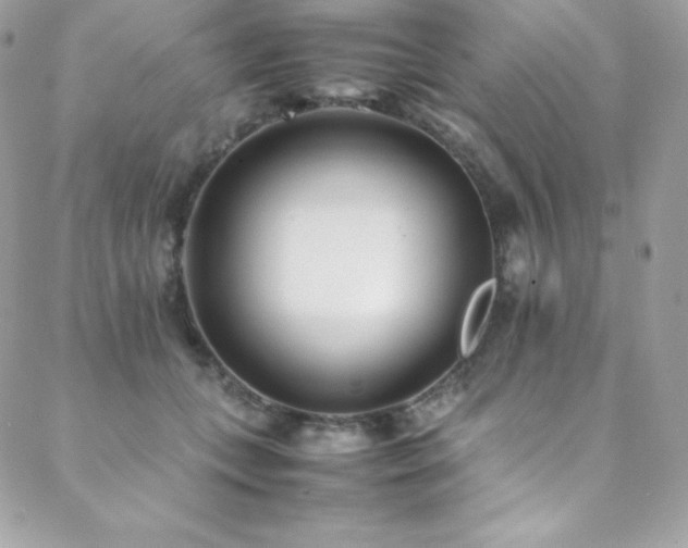 X0000089460559200706151436
