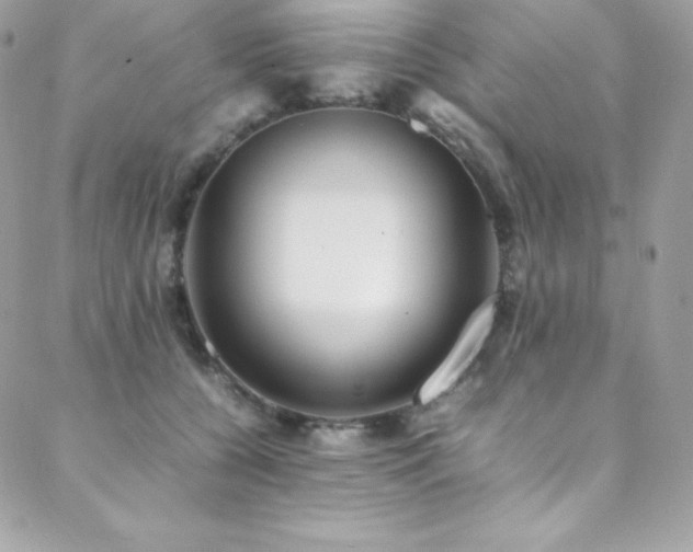 X0000089460560200706151436