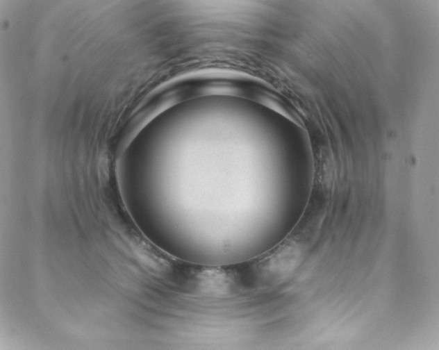X0000089460562200706151437