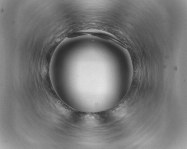 X0000089460566200706151437