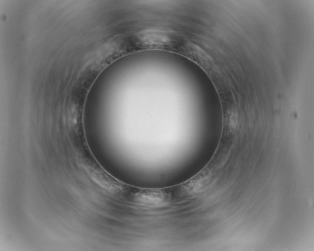 X0000089460567200706151437
