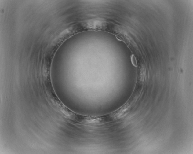 X0000089460569200706151437