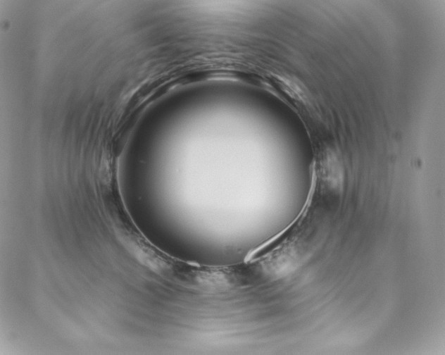 X0000089460572200706151437