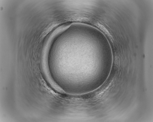 X0000089460577200706151436