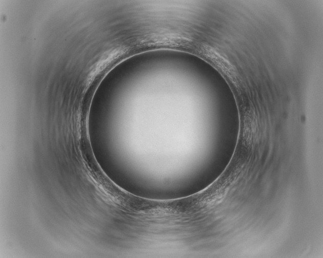 X0000089460578200706151436