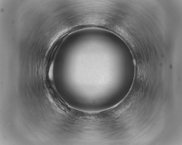 X0000089460580200706151436