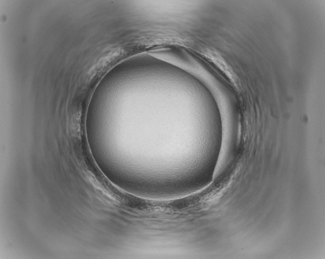 X0000089460585200706151436