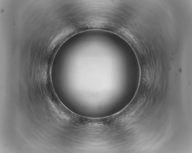 X0000089460586200706151436