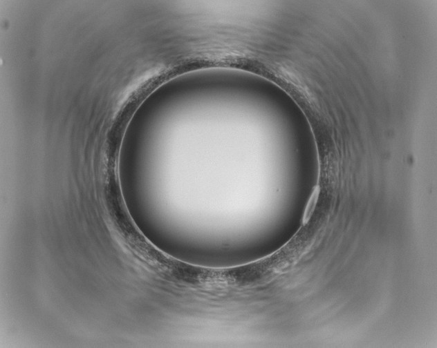 X0000089460587200706151436