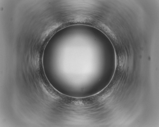 X0000089460588200706151436