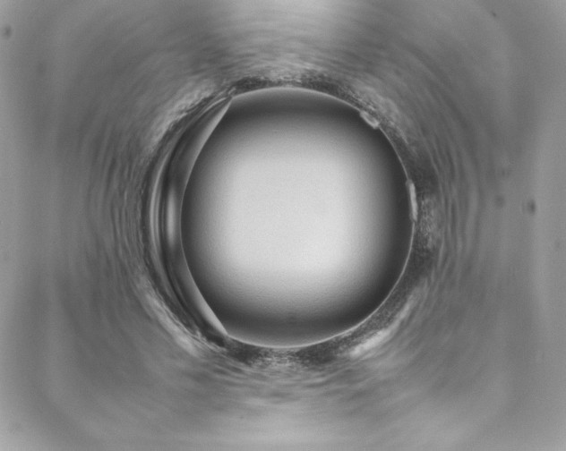 X0000089460589200706151436