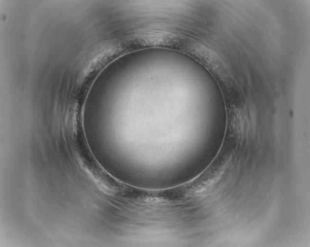 X0000089460590200706151436