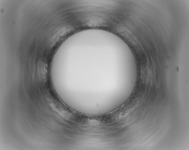 X0000089460592200706151436