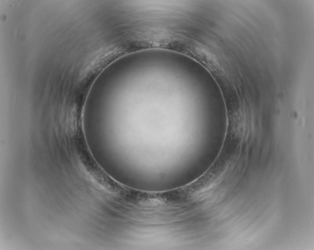 X0000089460594200706151436
