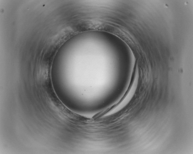 X0000089460602200706151436