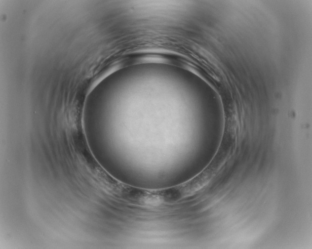 X0000089460604200706151436