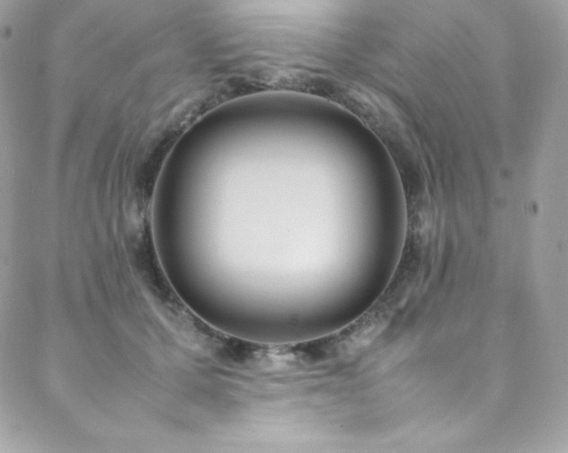 X0000089460607200706151435
