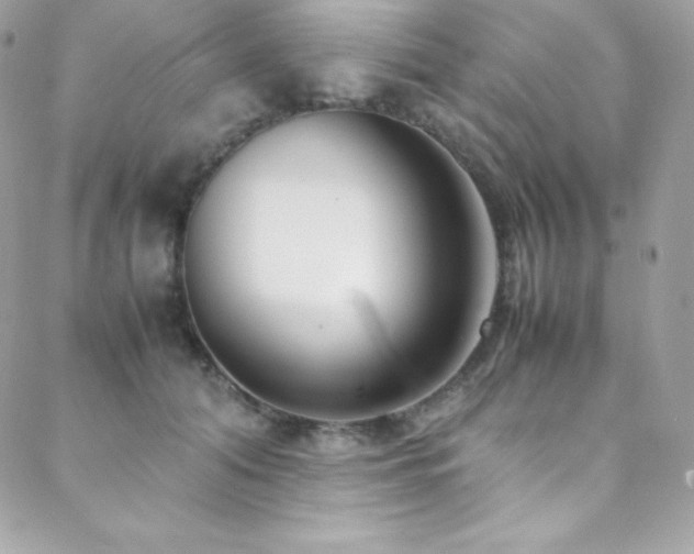 X0000089460608200706151435