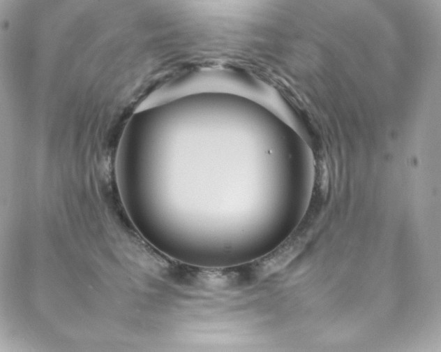 X0000089460613200706151435