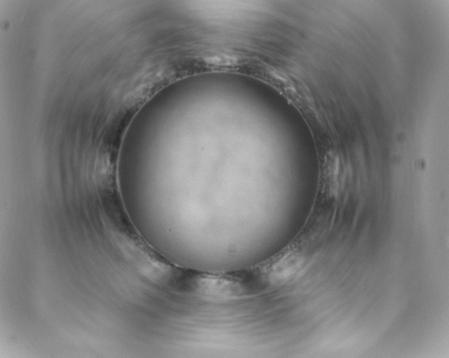 X0000089460614200706151435