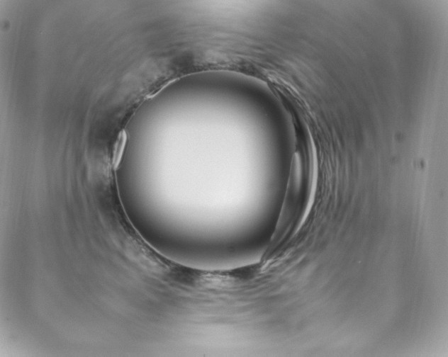 X0000089460617200706151435