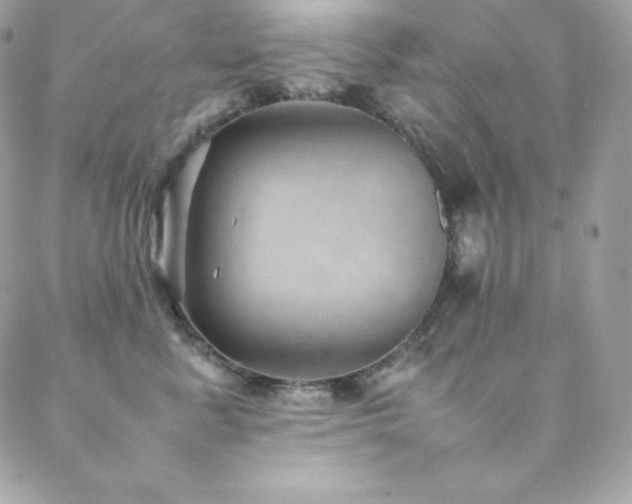 X0000089460619200706151435