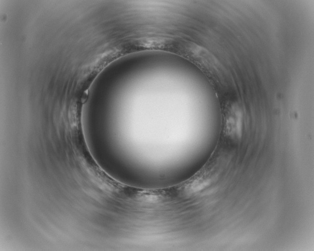 X0000089460620200706151435